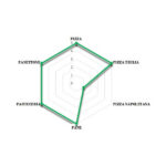 Effeuno Pizza Peć P134A 399E ⌀34cm Beograd